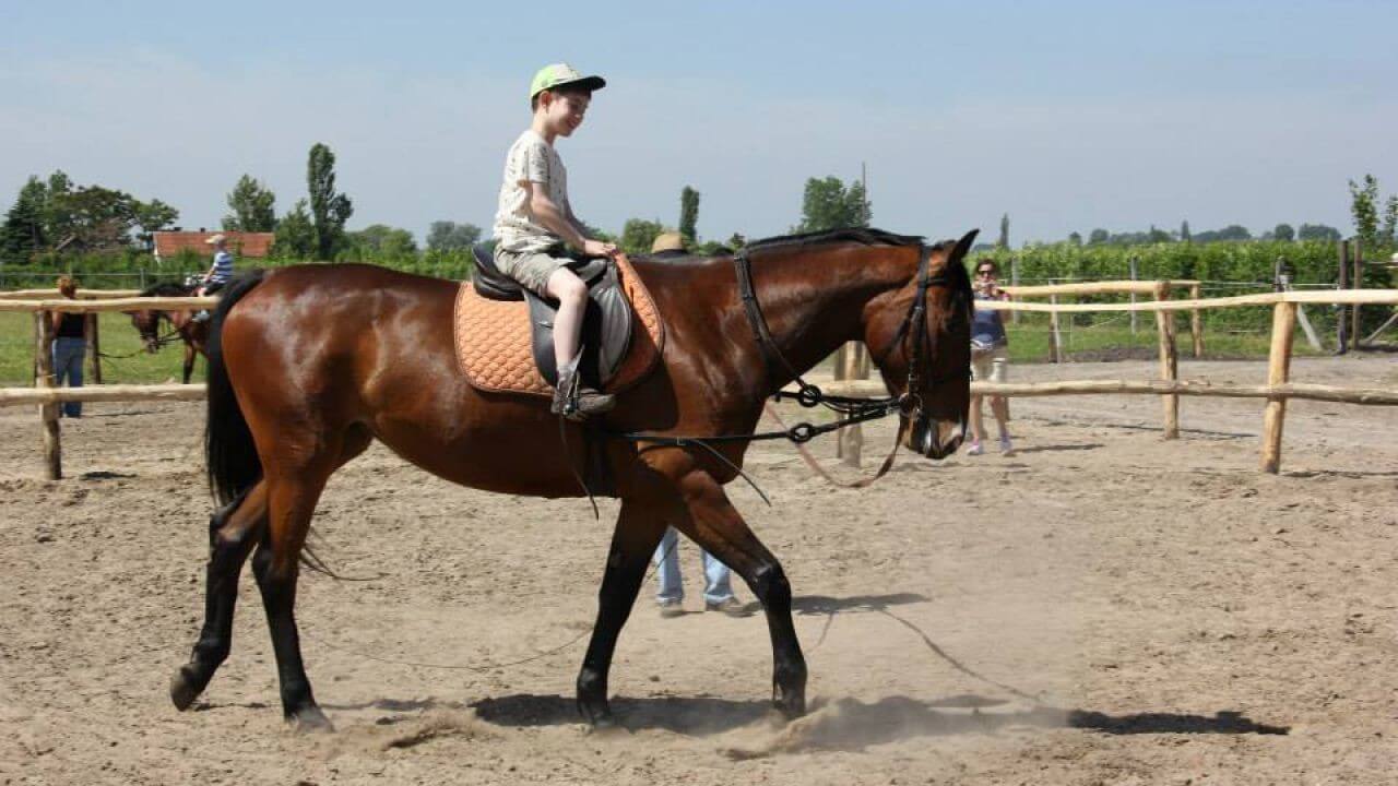 jazdenie v t&aacute;bore Cegl&eacute;d