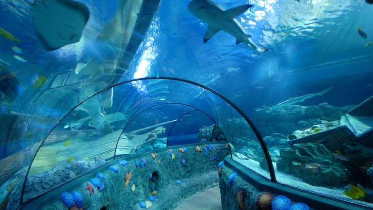 podmorsk&yacute; svet Tropicarium v Budape&scaron;ti